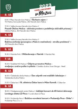 Screenshot 2023-12-01 093742